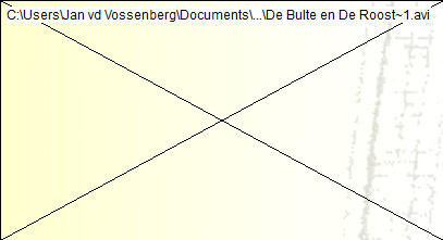 De Bulte en De Roost~1.avi